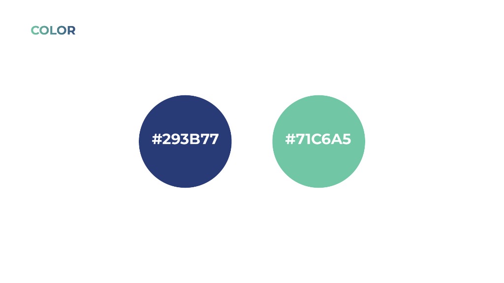 Official Brand Color Palette